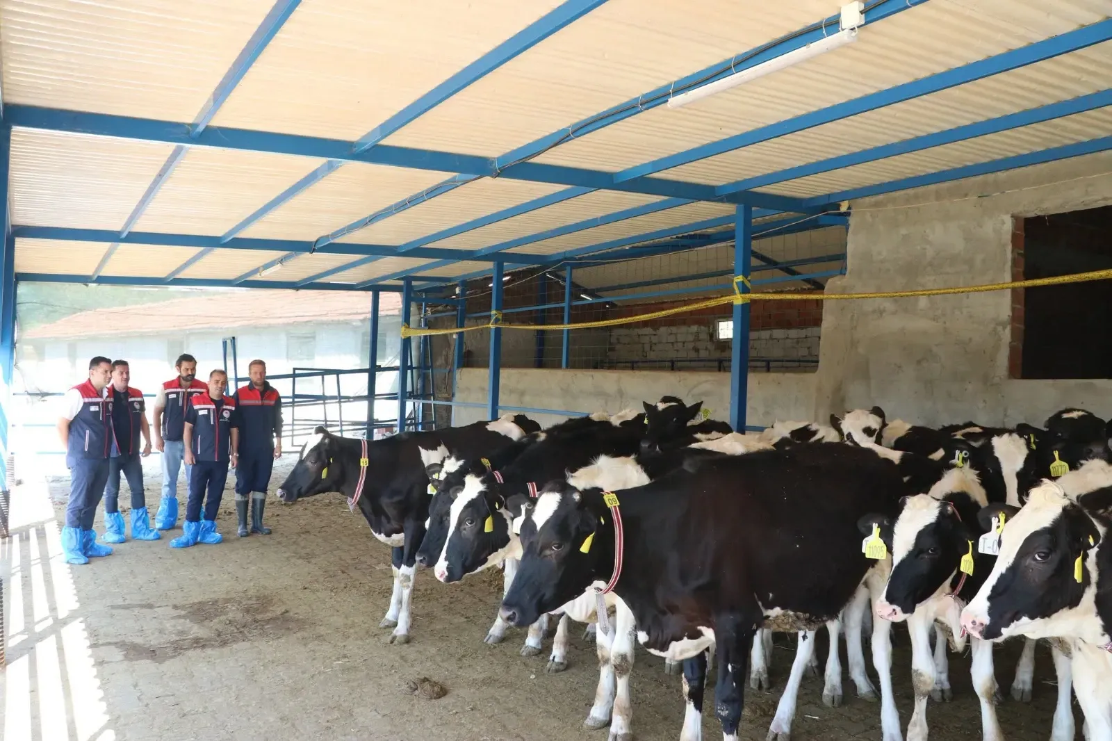 Edirne’de ari işletme sayısı artıyor: Sağlıklı sürüler için yeni adım
