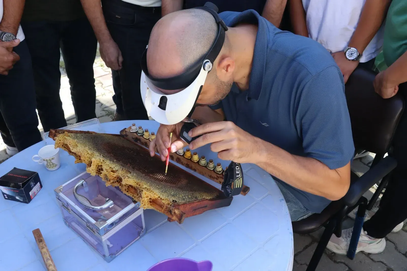 Edirne’de arıcılara uygulamalı ana arı yetiştiriciliği eğitimi