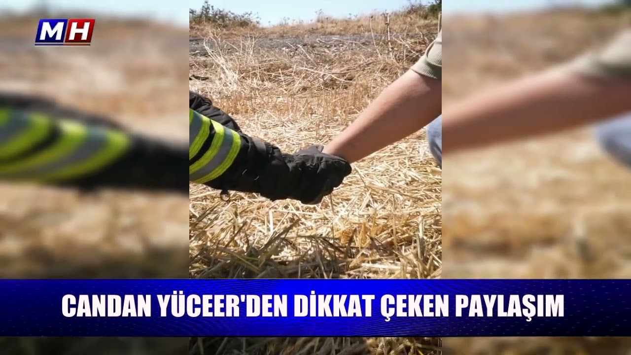 Candan Yüceer'den dikkat çeken paylaşım