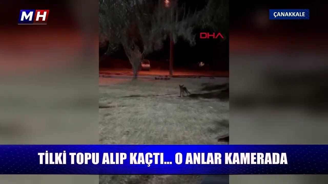Tilki, topu alıp kaçtı; o anlar kamerada