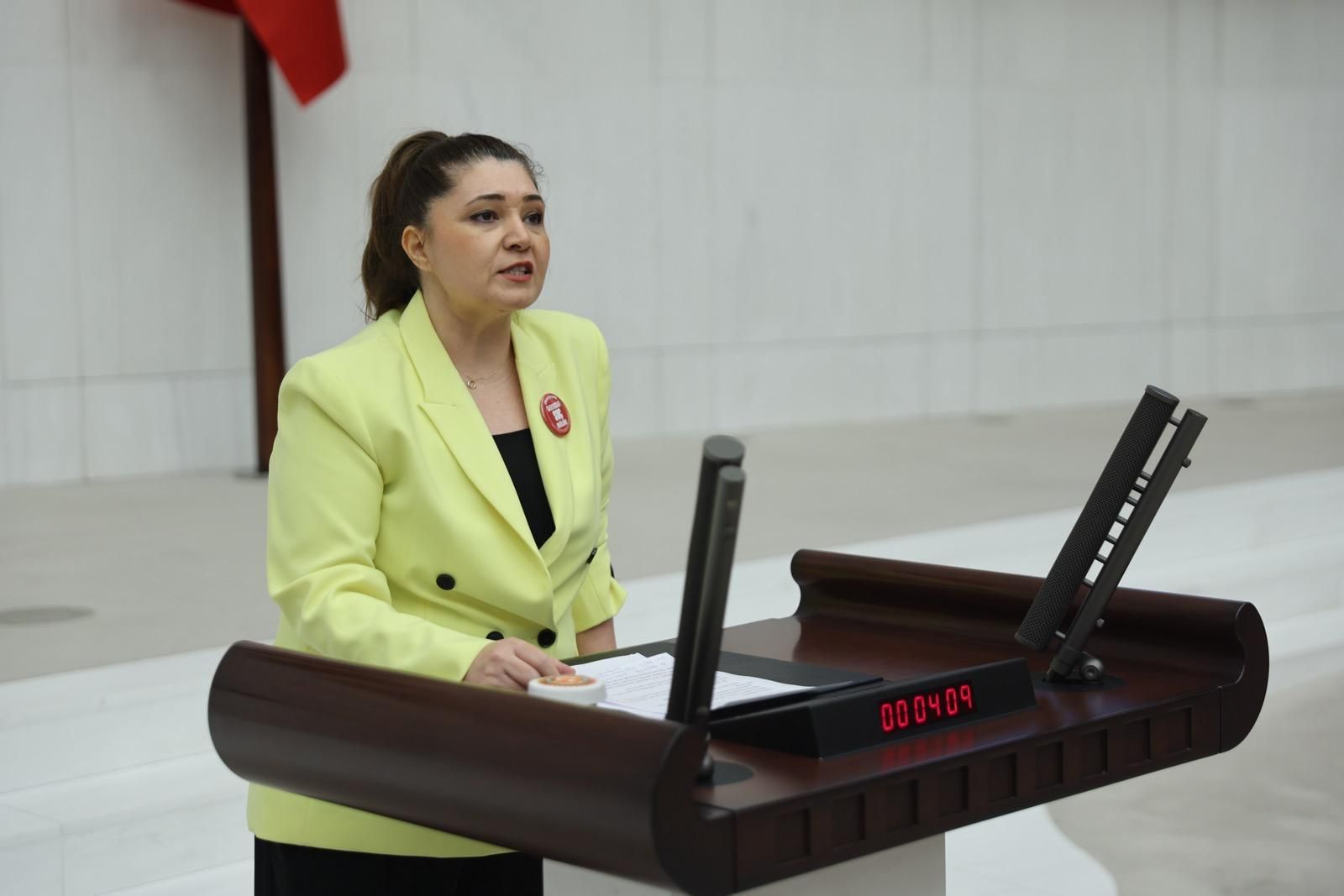 Taşçı’dan Meclis’te sert çıkış: “106’ncı yılında ikinci Sevr ihanetine ortak olmayın”