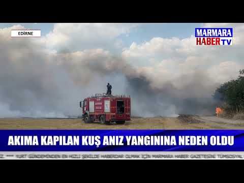 Akıma kapılan kuş anız yangınına neden oldu