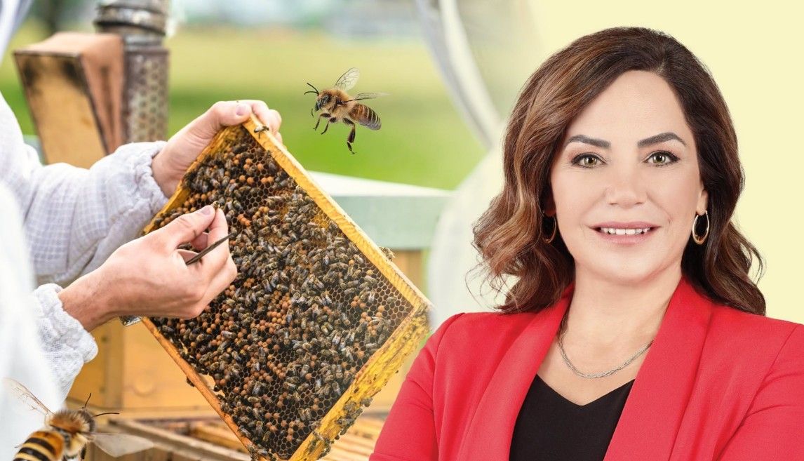 Tekirdağ Büyükşehir Belediyesi’nden arıcılara destek