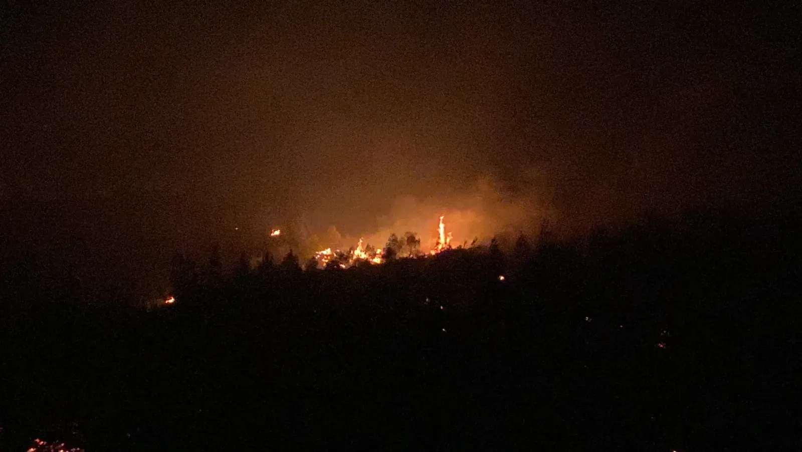 Otluk alanda çıkan yangın ormana sıçradı