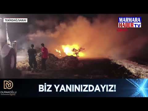 Saray'da 5 bin saman balyası yandı!
