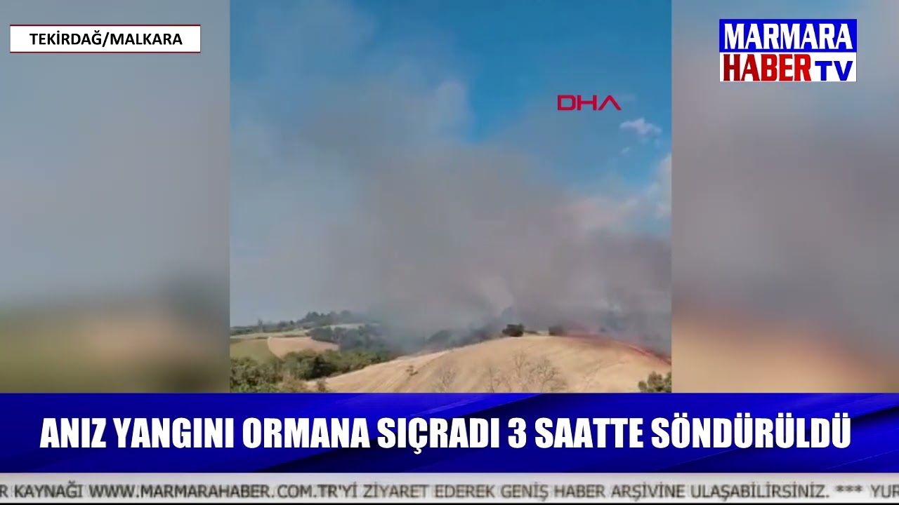 Anız yangını ormana sıçradı 3 saatte söndürüldü