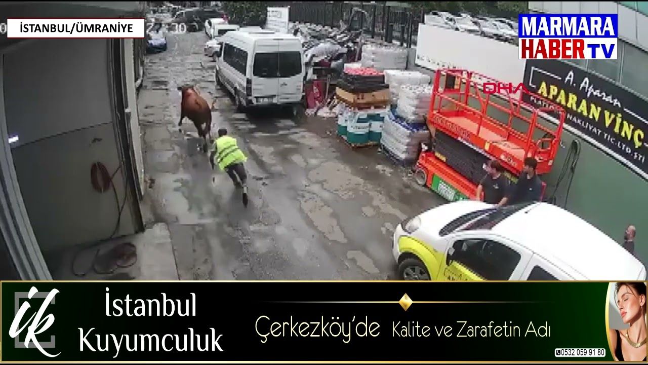 Firari boğa sanayi sitesinde dükkana girdi