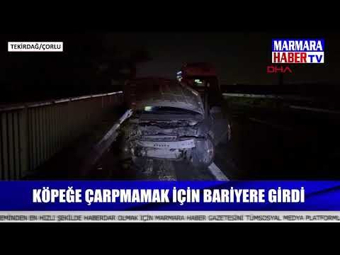 Köpeğe çarpmamak için bariyere girdi