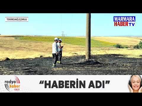 Yangında 5 dekar buğday zarar gördü