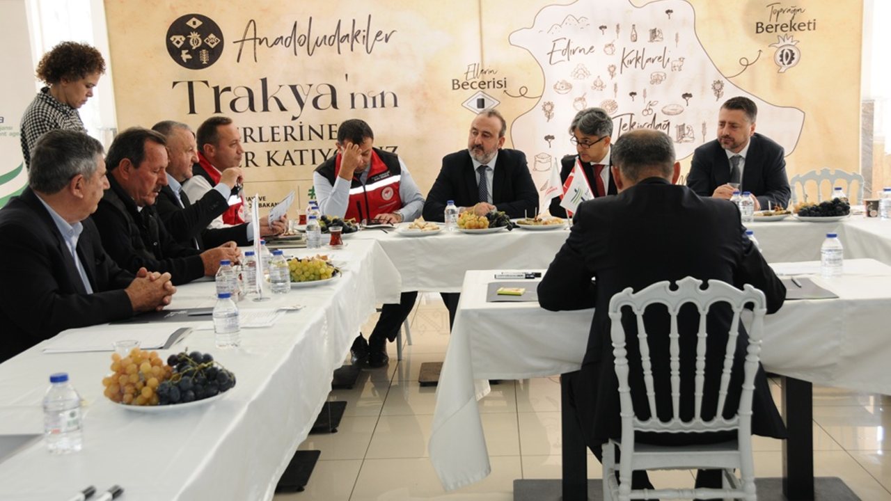 Şarköy zeytinyağı Tekirdağ’ın marka ürünü olacak