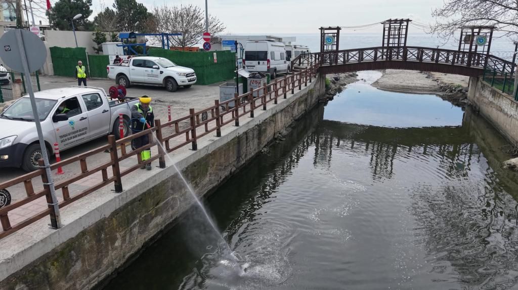 Büyükşehir, 11 ilçede vektörle mücadele çalışmalarını sürdürüyor