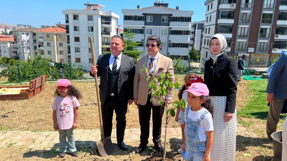Kiraz fidanları toprakla buluşturuldu