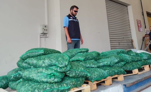 840 kilogram canlı kum midyesi ele geçirildi