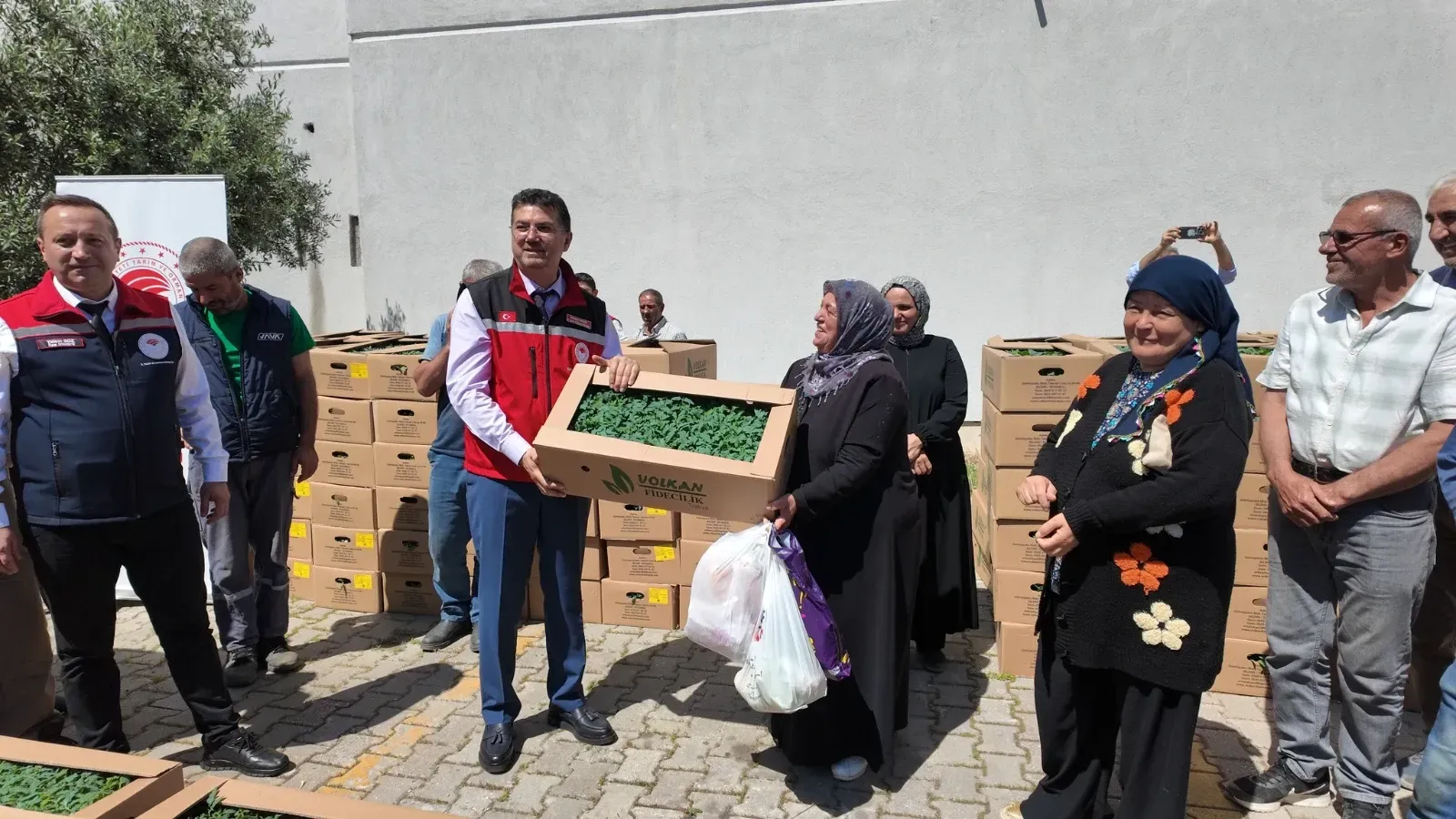 Üreticilere yazlık sebze fidesi dağıtıldı