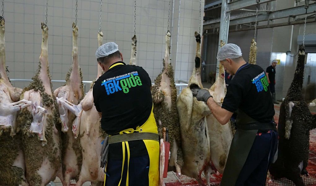 Mezbahalarda kurban kesim mesaisi; 977 kurbanlık hayvanın kesimi yapıldı