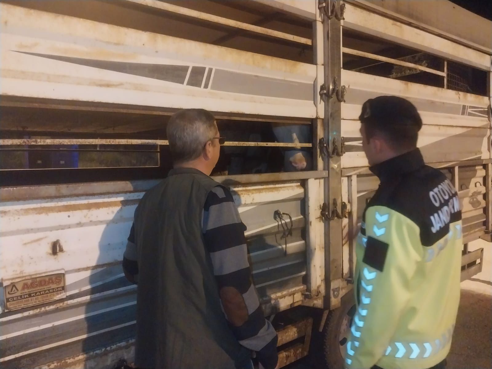 Sevk belgesiz büyükbaş taşıyan sürücüye 42 bin 86 lira ceza