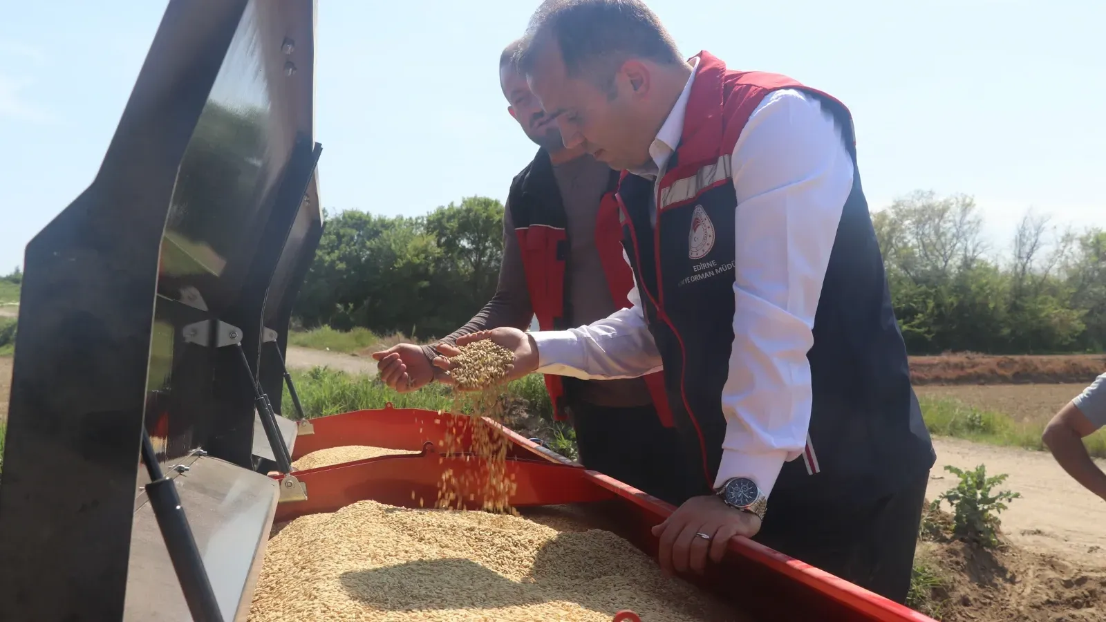 Köse, çeltik ekiliş alanlarını inceledi