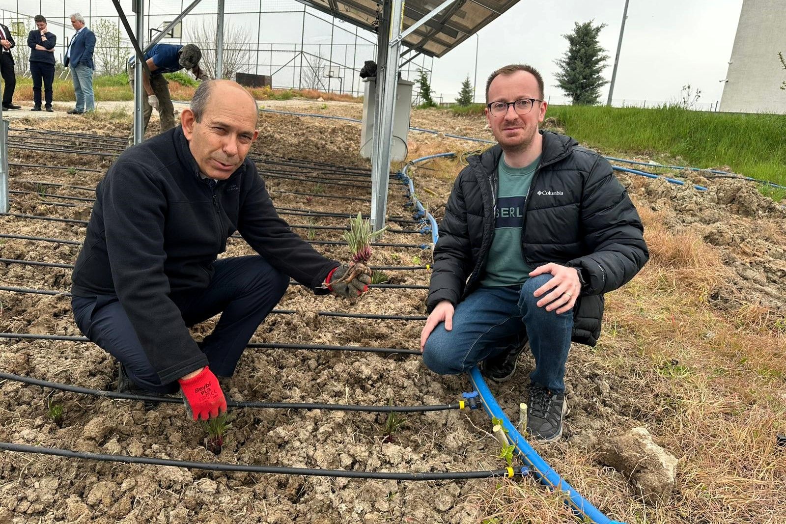 Agrivoltaik sistem araştırmaları başladı