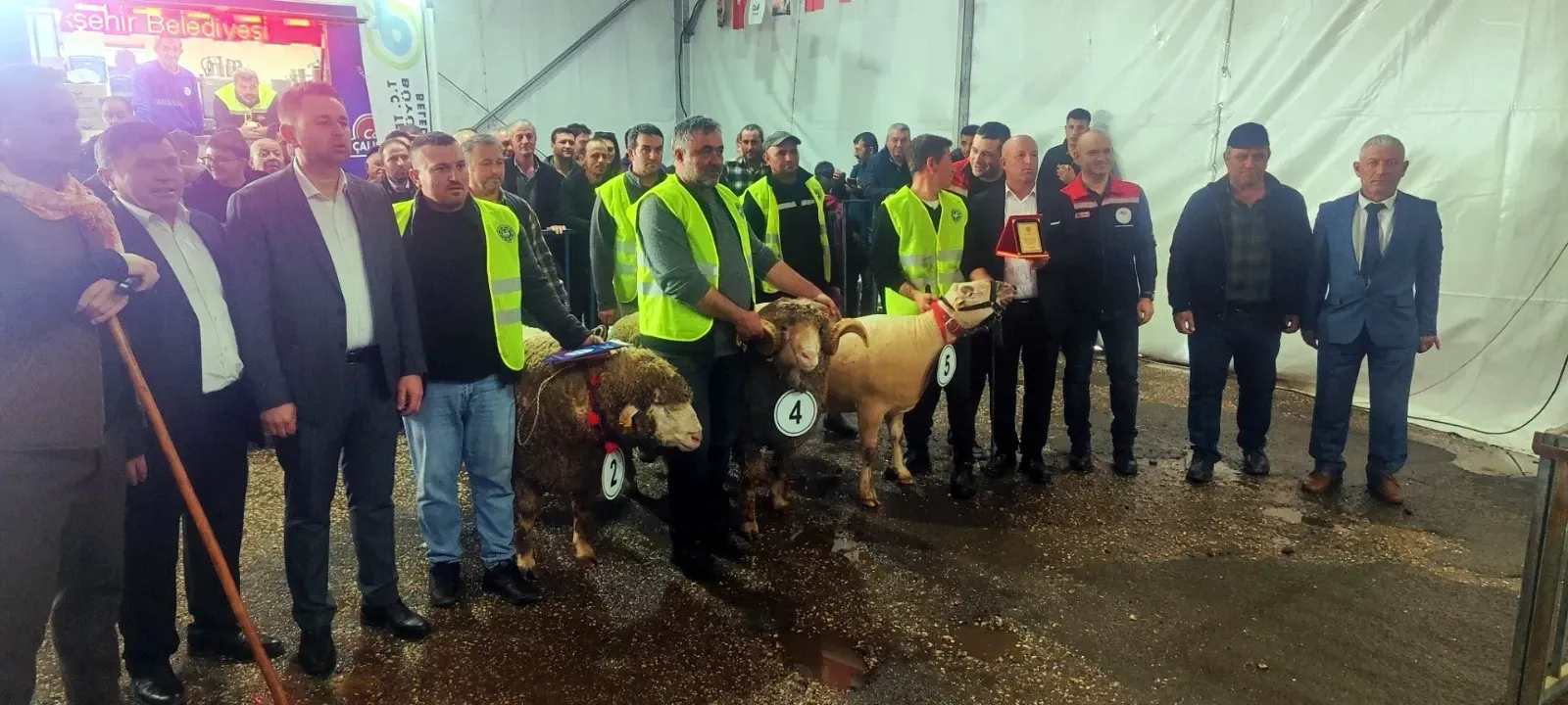 Koç güzellik yarışmasının kazananı ‘Şakir’ oldu