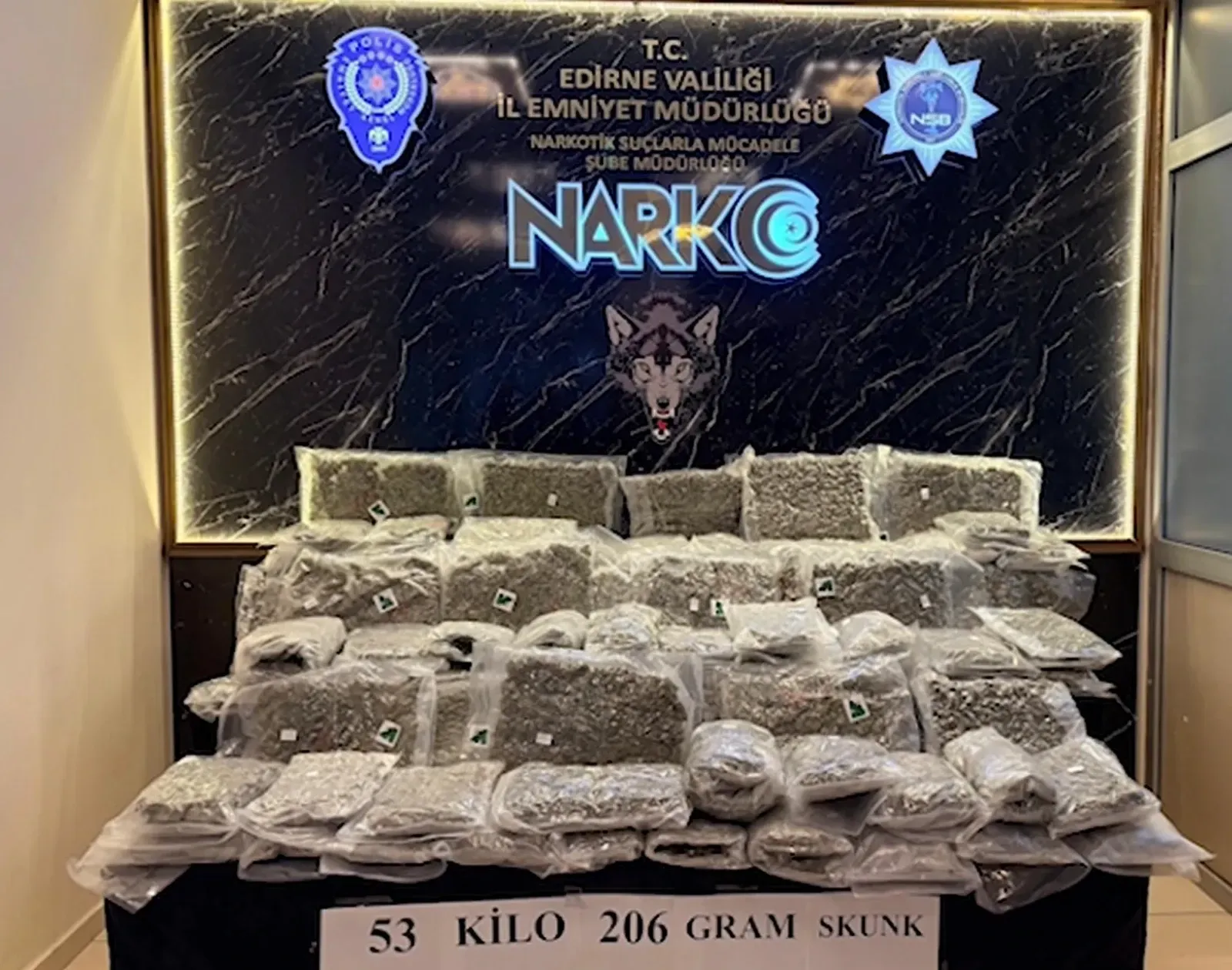 TIR'da 53 kilo skunk ele geçirildi: 2 gözaltı