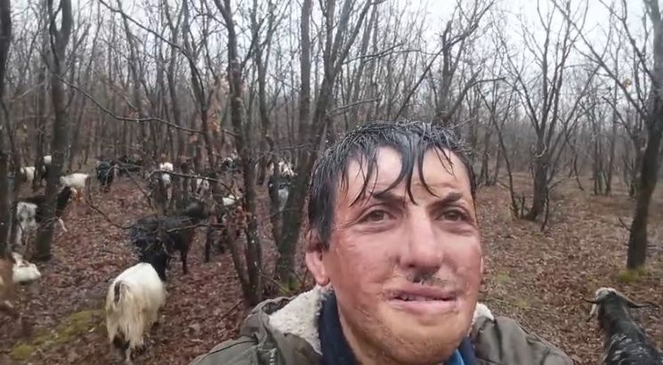 Kurtlar sürüye saldırdı: 23 hayvan telef oldu
