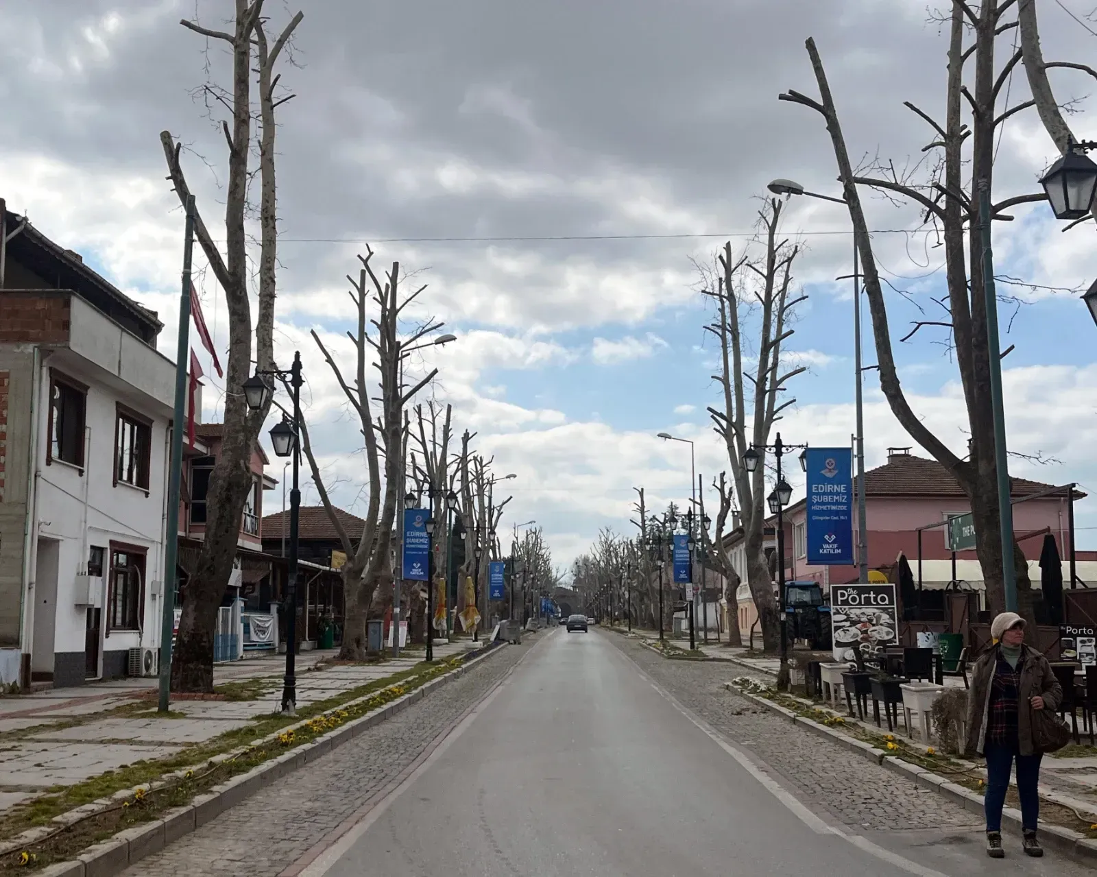 “Edirne'de ağaçlar budanmıyor, yok ediliyor”
