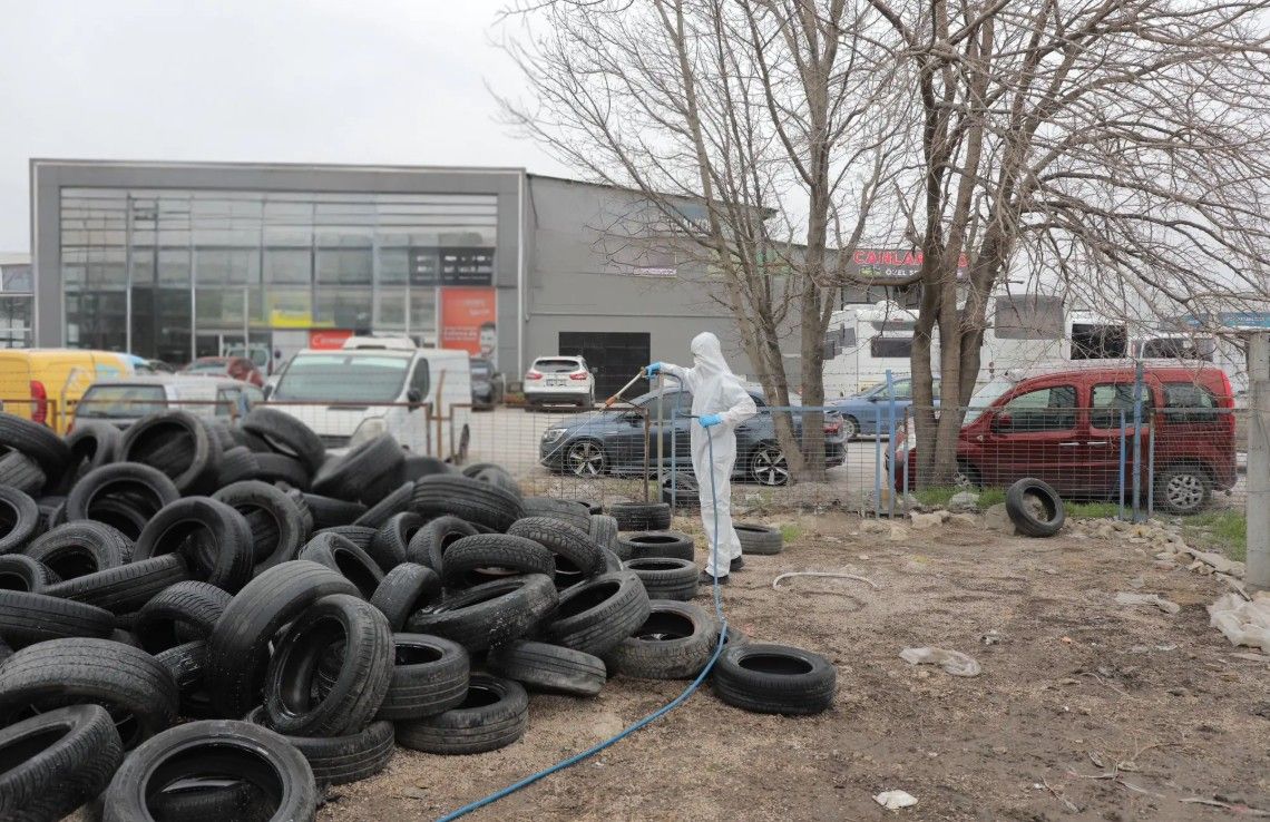 Edirne’de vektörle mücadele çalışmaları sürüyor