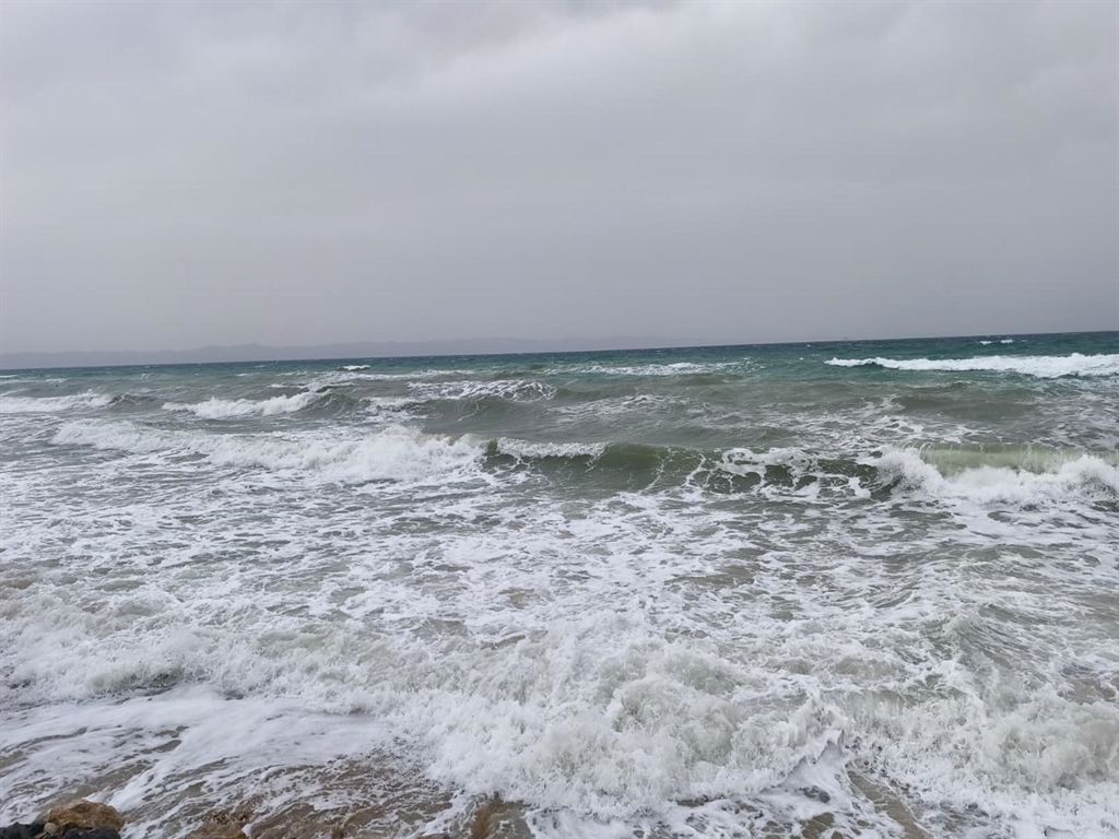 Fırtınada ağaçlar devrildi