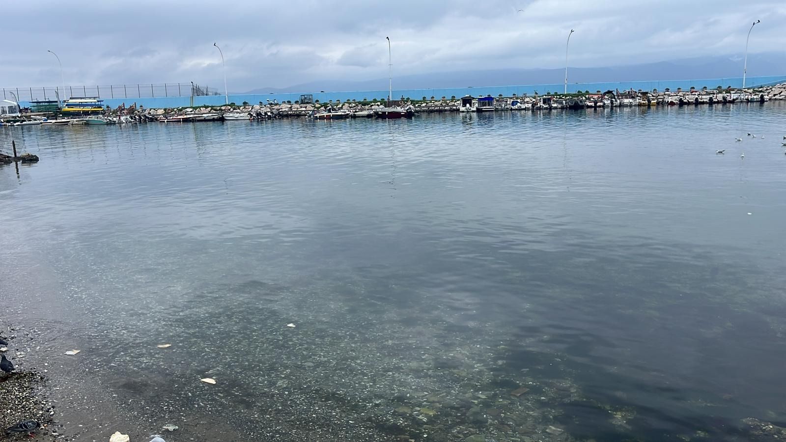 Mudanya’da kahreden olay: 5 yaşındaki çocuk hayatını kaybetti