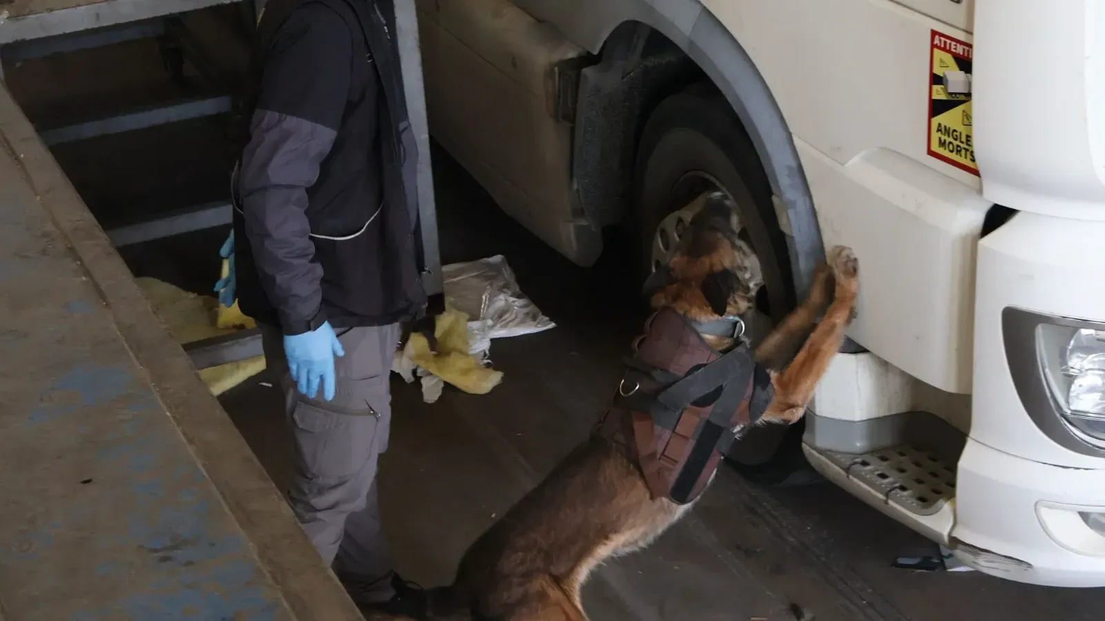 144 kilo 732 gram uyuşturucu ele geçirildi