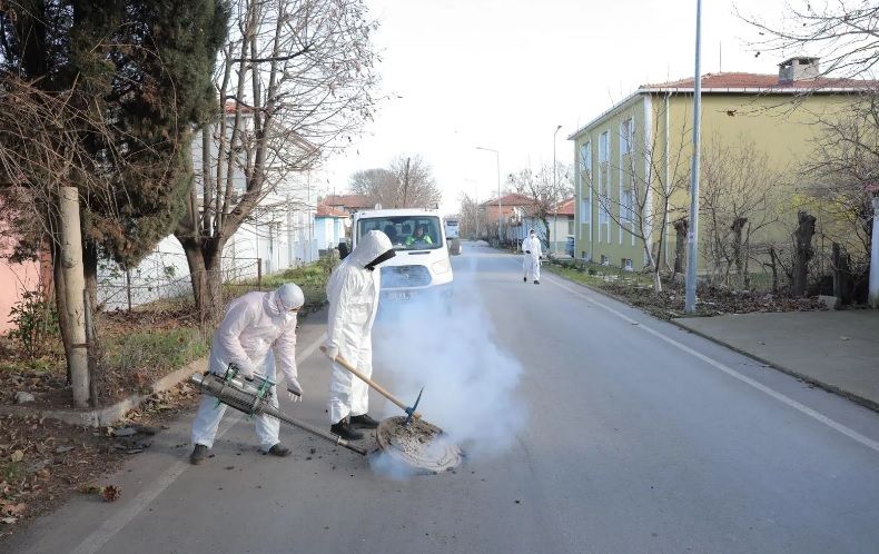 Haşereyle mücadele çalışmaları hızlandırıldı