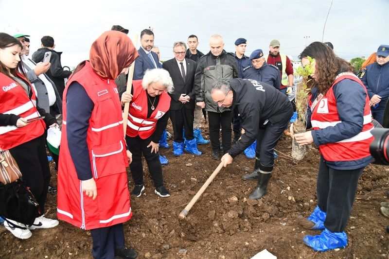 Şarköy’de yanan ormanlık alan ağaçlandırılıyor