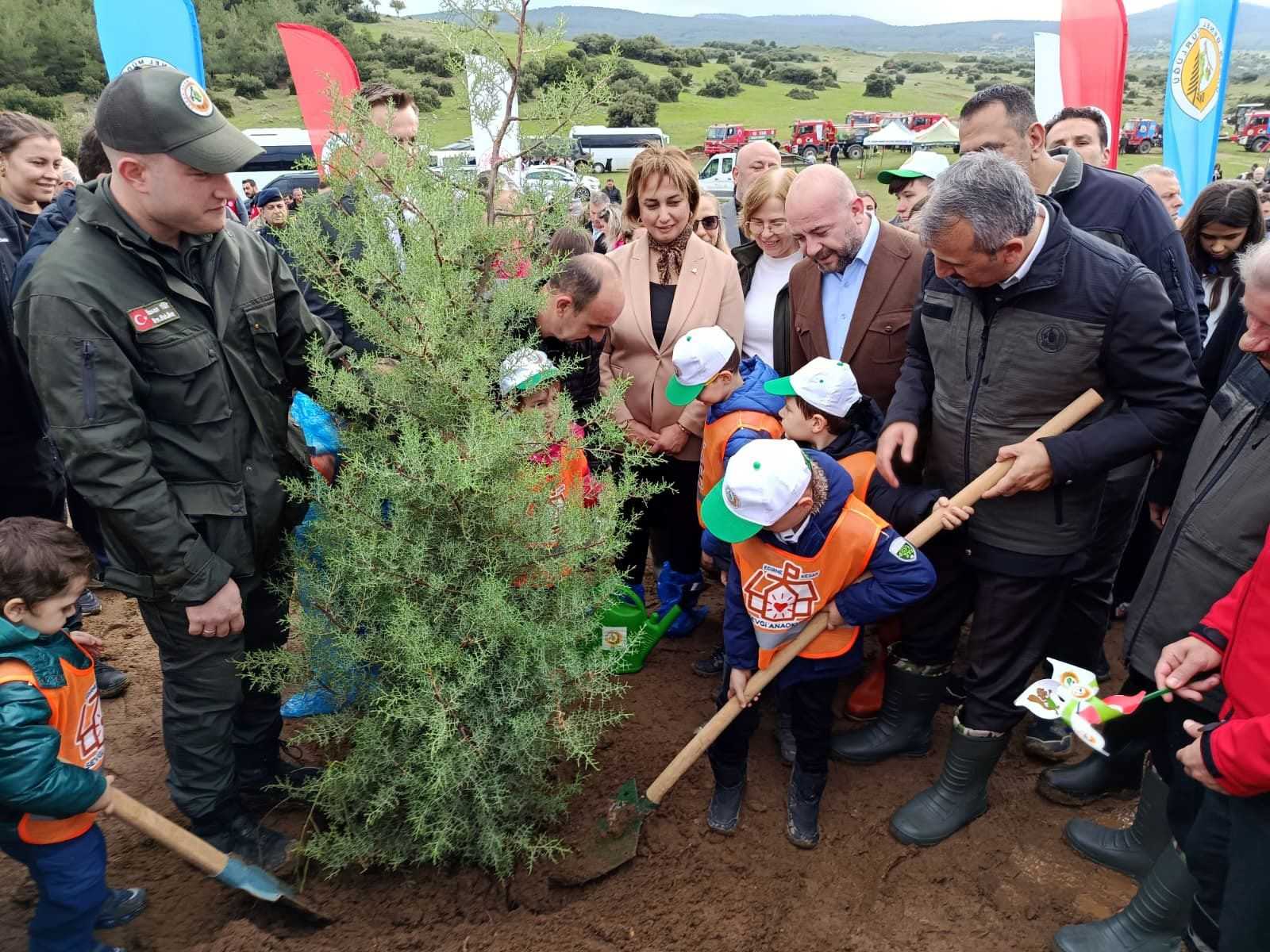 2 bin çam fidanı toprakla buluşturuldu