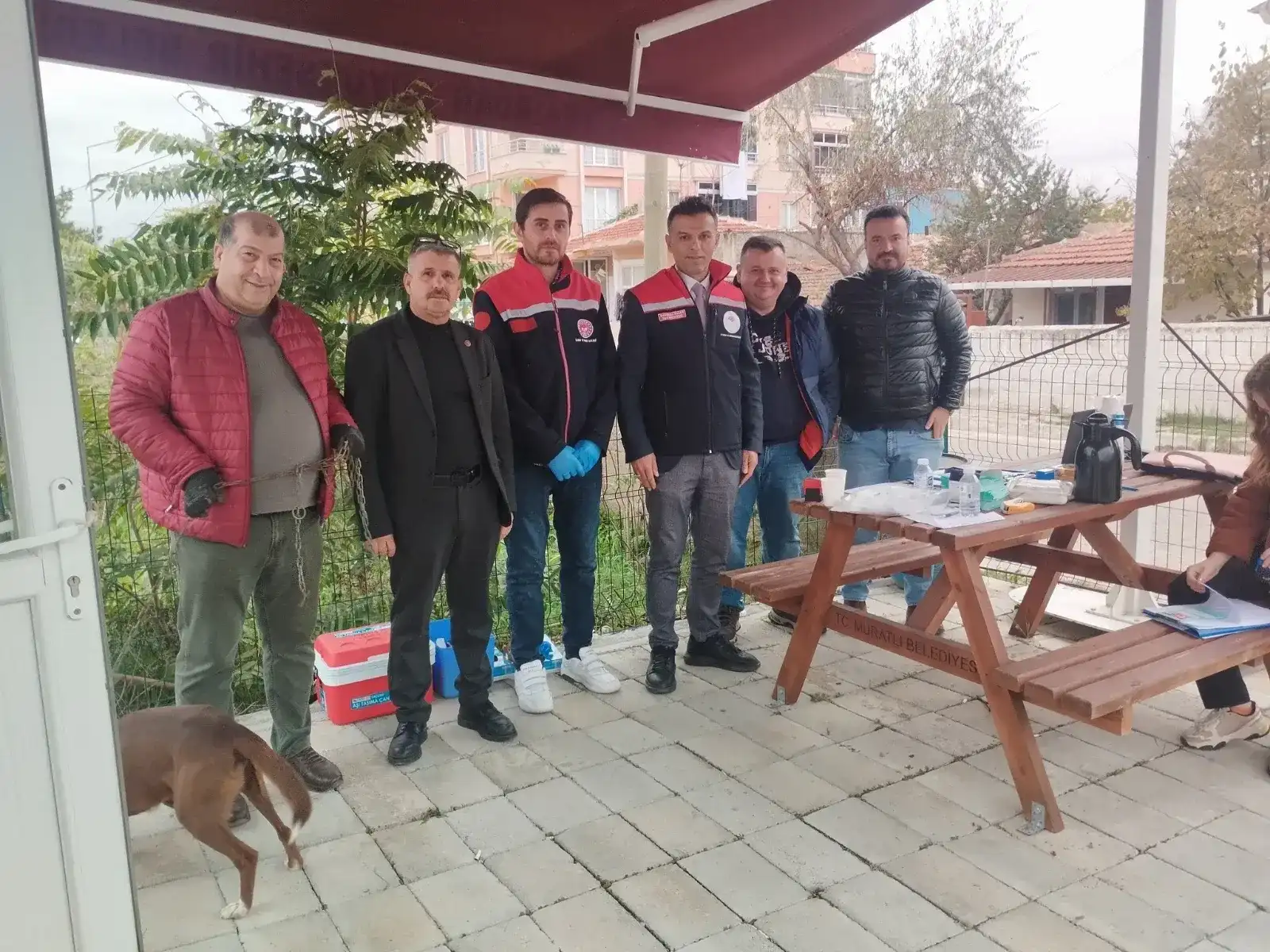 Mikroçip ve kuduz aşısı çalışmaları devam ediyor