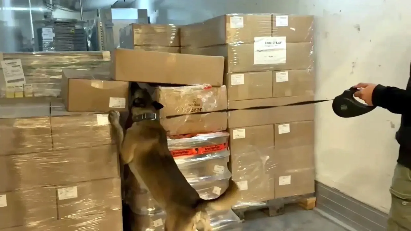 66 kilo 400 gram uyuşturucu hammaddesi ele geçirildi