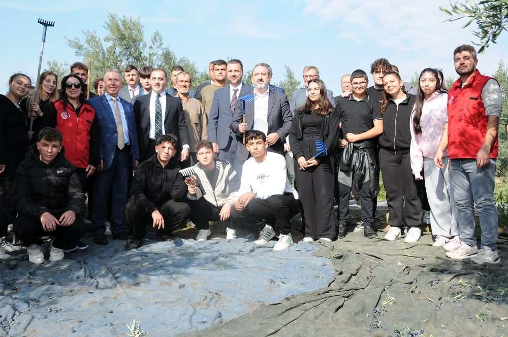 Şarköy’de zeytin hasadı yapıldı