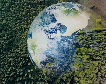 2025 - 2035 Ulusal Atık Yönetimi Stratejisi ve Planı hazırlandı