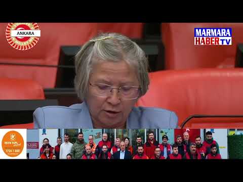 Gazilerin talepleri TBMM gündeminde