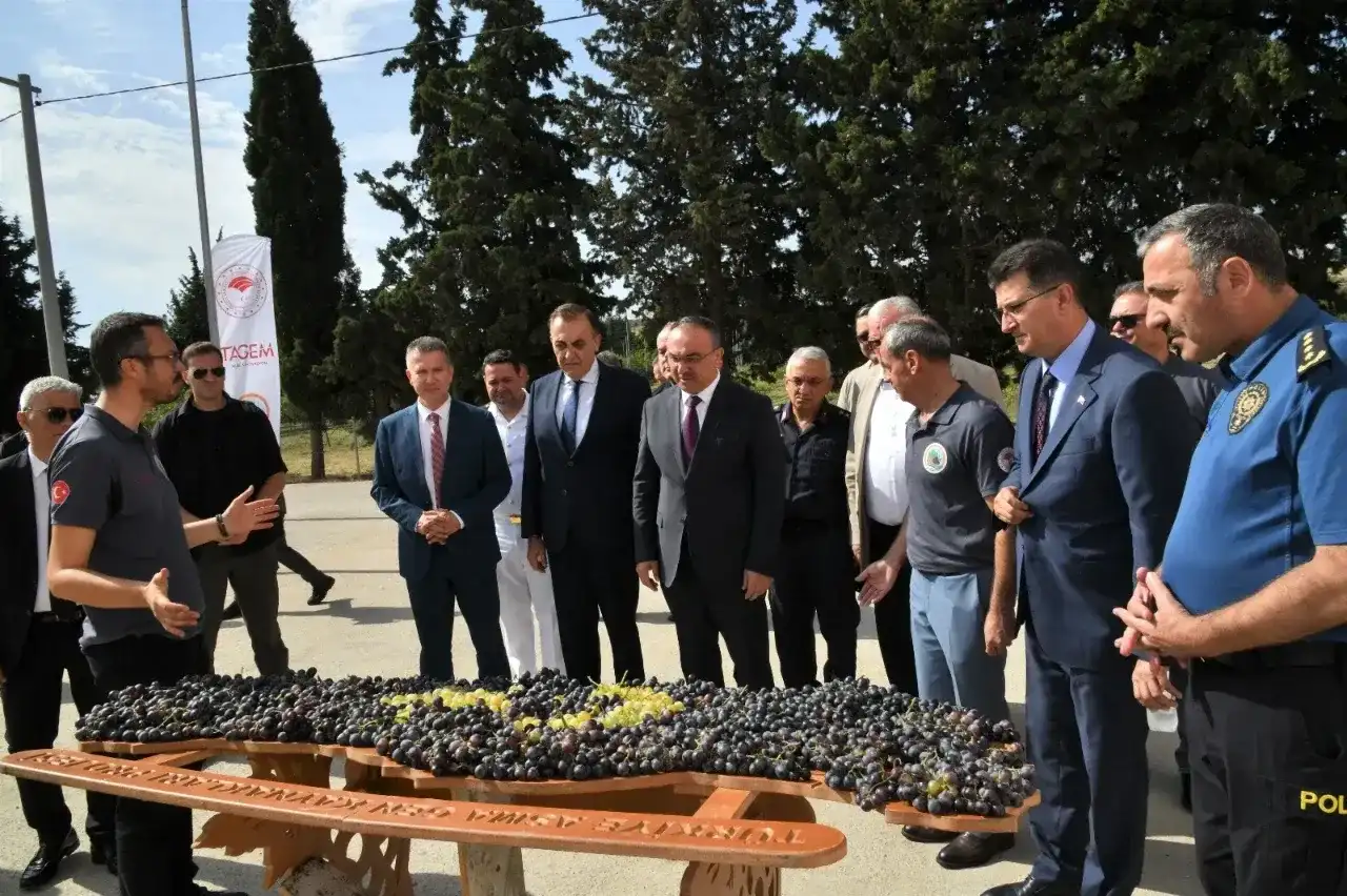 Yeni üzüm çeşitleri tanıtıldı
