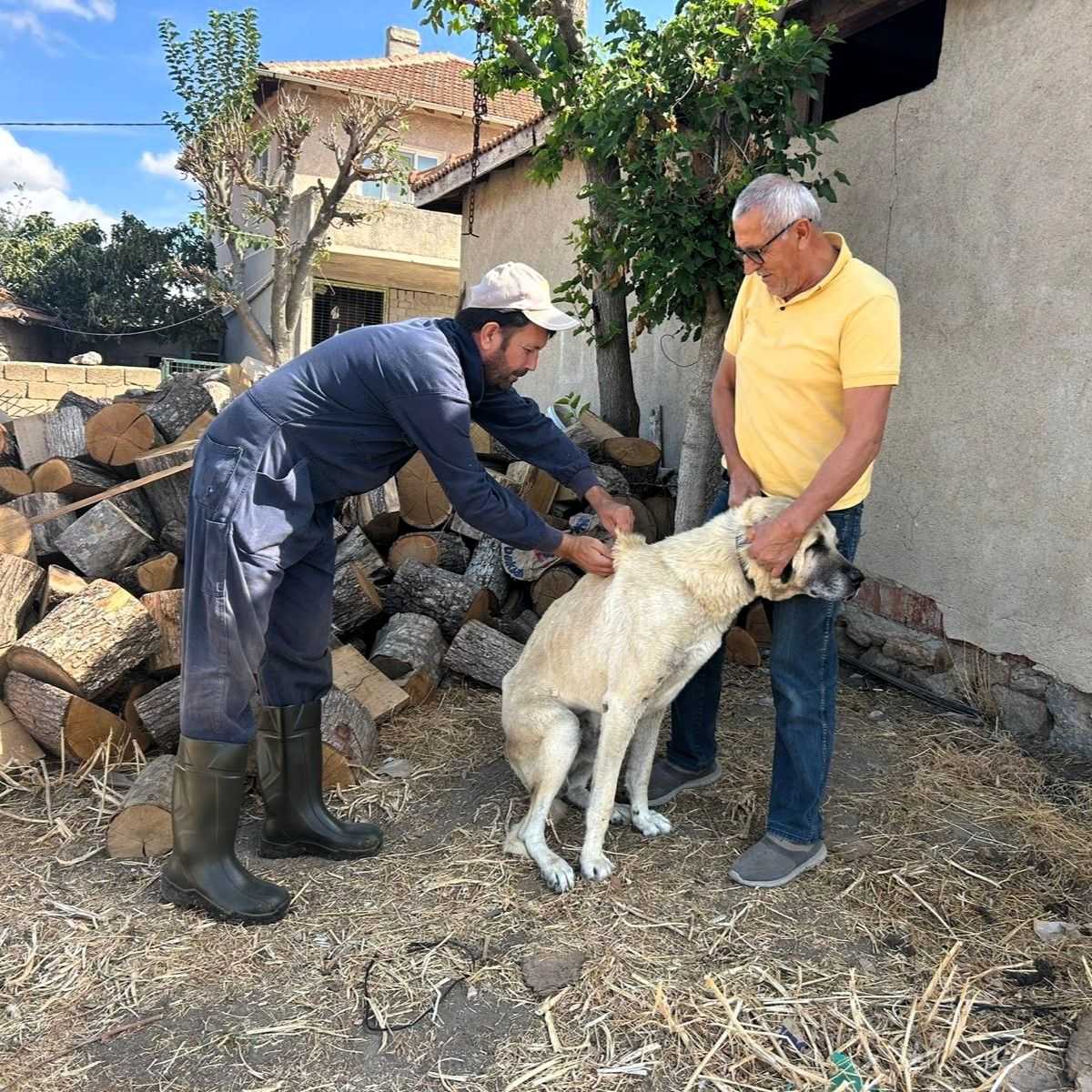 Aşılama çalışmaları devam ediyor