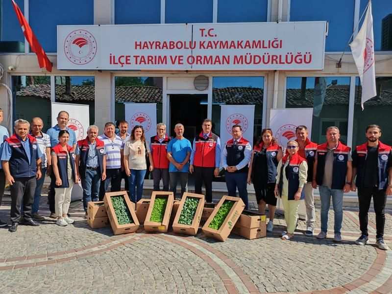 Tekirdağlı üreticilere fide dağıtıldı