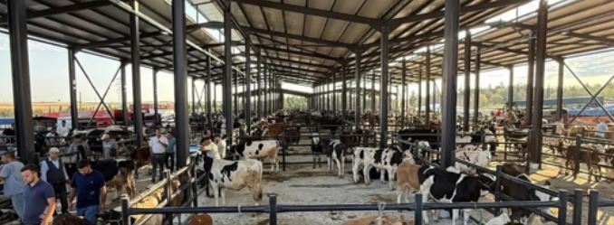Havsa Canlı Hayvan Pazarı’nda denetim yapıldı