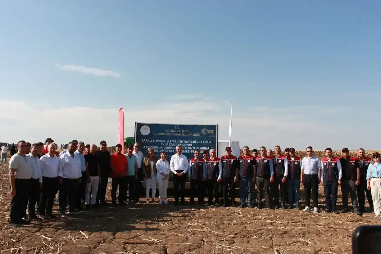 Edirne’nin sarı gelininde hasat zamanı