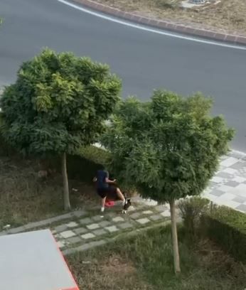 Araçları taşlayıp kediyi tekmelediler