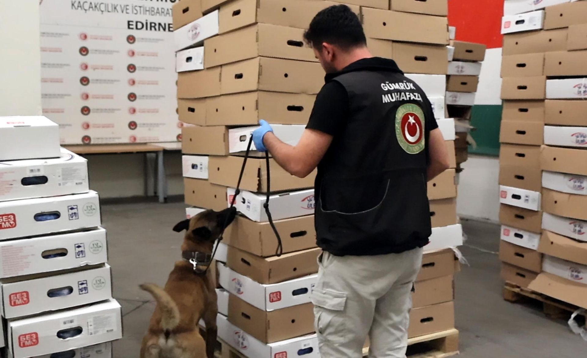 Kapıkule'de TIR'da 526 kilo uyuşturucu ele geçirildi