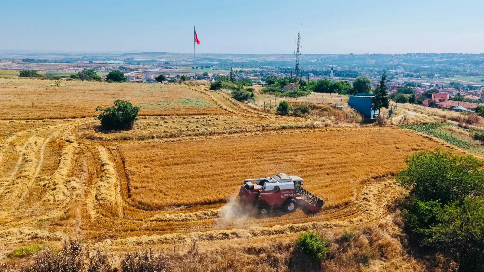 Belediye tarlalarında arpa hasadı yapıldı