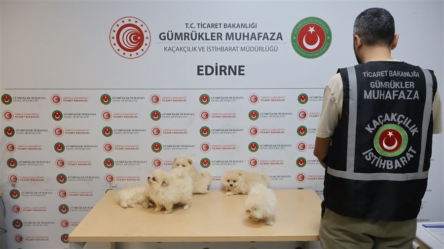 Kapıkule’de kaçak hayvan ticaretine darbe